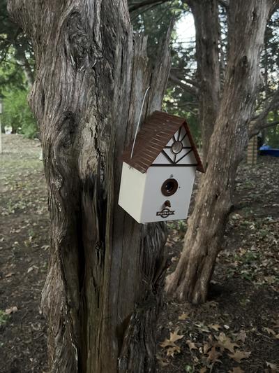 Petsafe birdhouse outlet camera