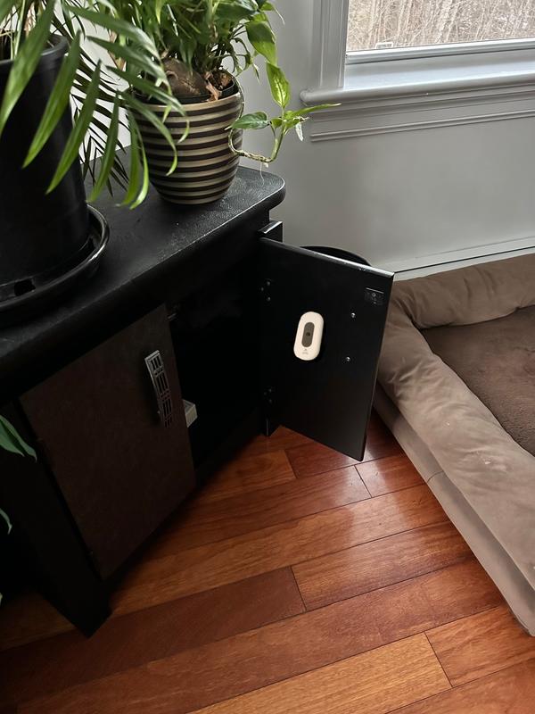 helps mask litter box odor