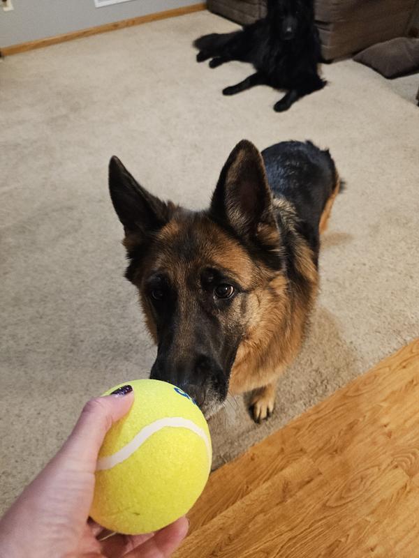 She's very excited