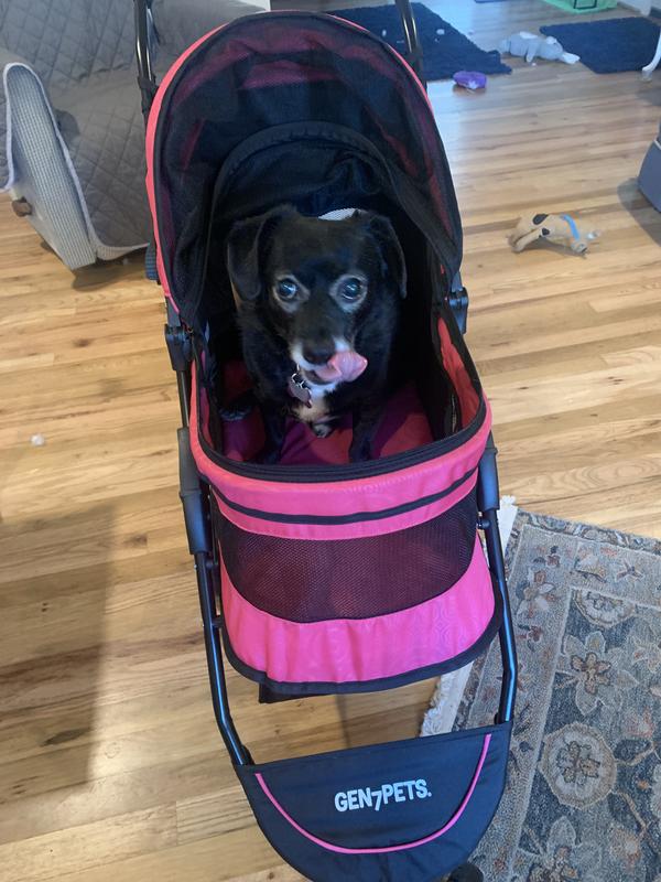 Gen 7 regal outlet plus pet stroller