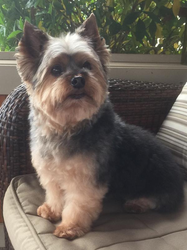 Birthday July 5 he will be 13