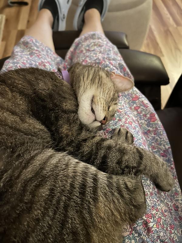 Sometimes Gracie is sweet as pie!