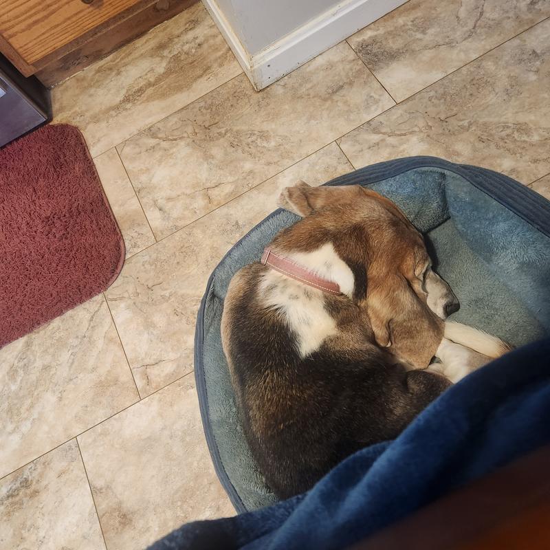 My guardians  while on bed rest