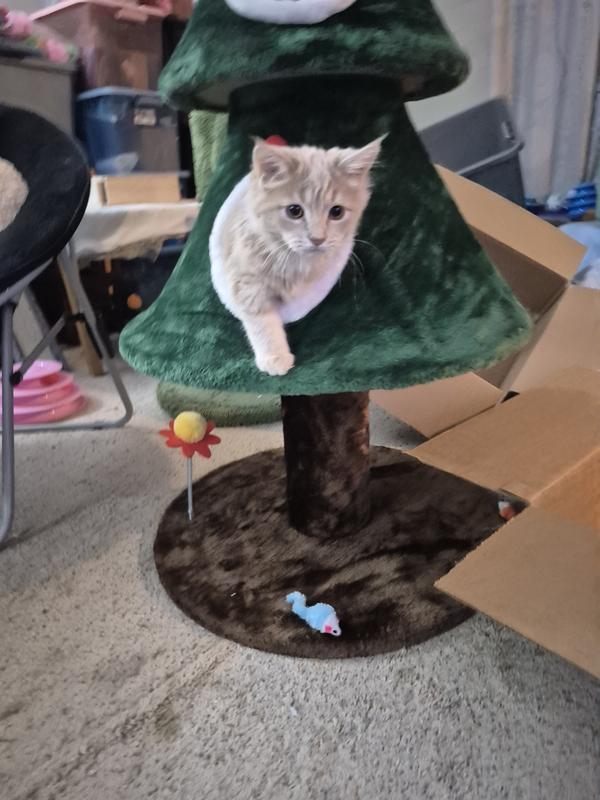 Tatertot inside the Christmas tree exploring