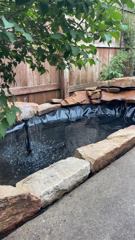 Our new water feature, Thank You Chewy!