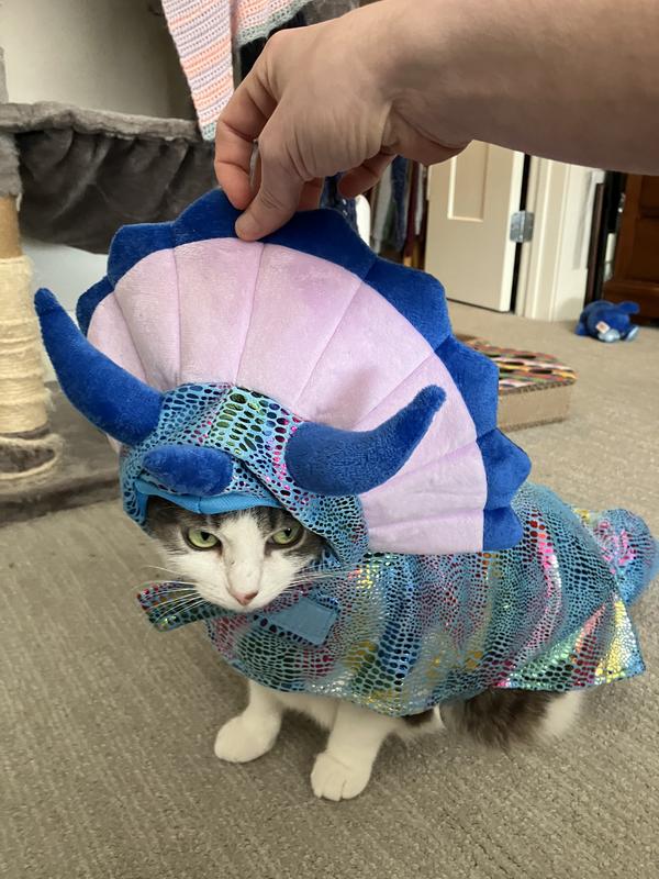 She looks annoyed,  but she really didn’t mind at all!