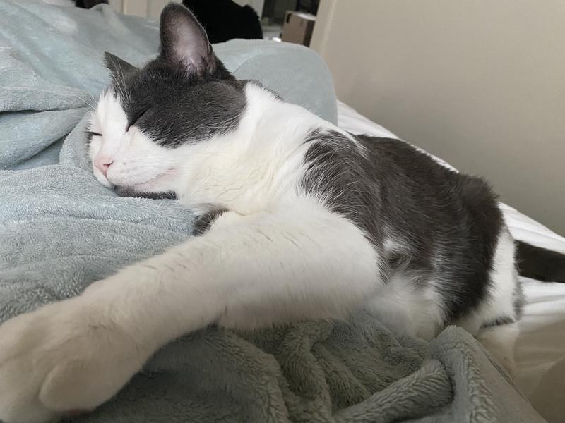 Blissful baby
