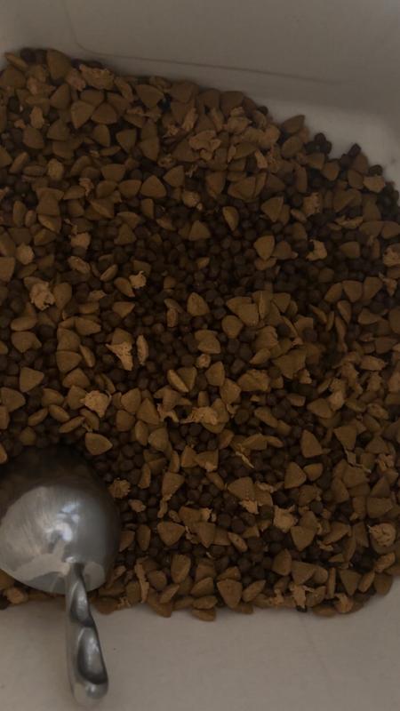 Mixed kibble. Dark brown is the royal food