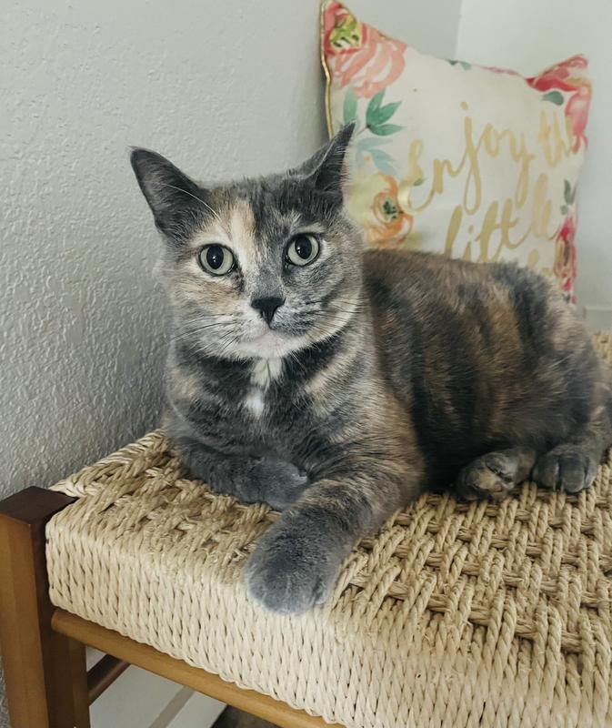 Happy and anxiety free