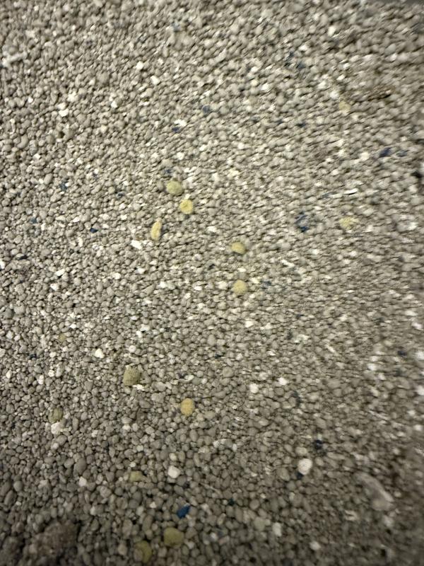 After being used. Very minor color difference.