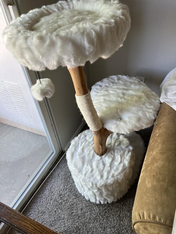 FRISCO Natural Wood Modern Cat Tree with Toy, Ivory, Large