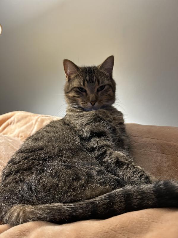 “Wow!  That was a great night’s sleep!”