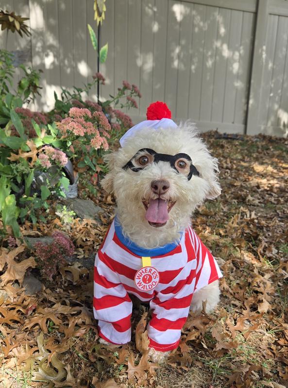 Angus makes a super cute Woof!