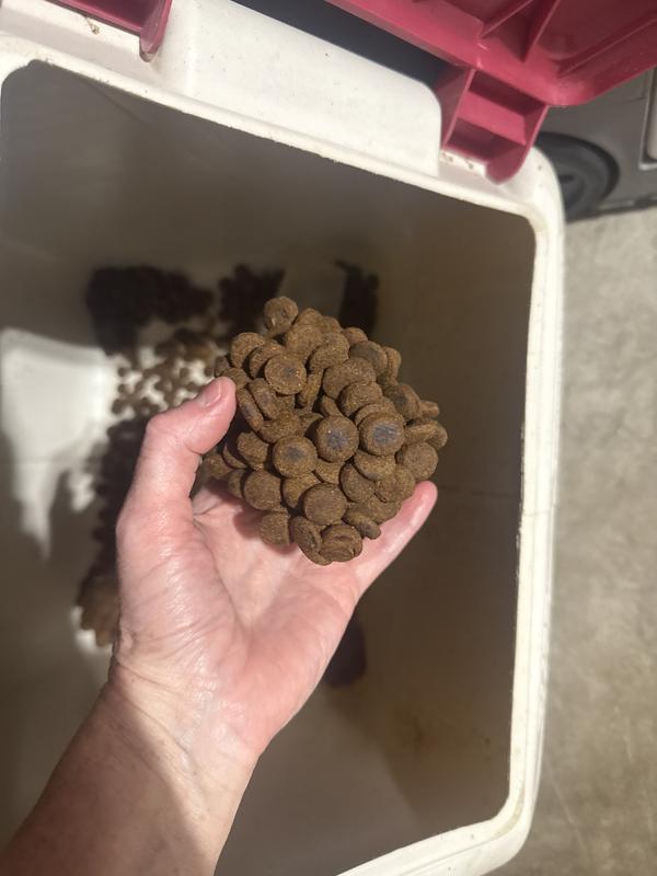 Bad batch!!! Don’t feed your dog this!!!