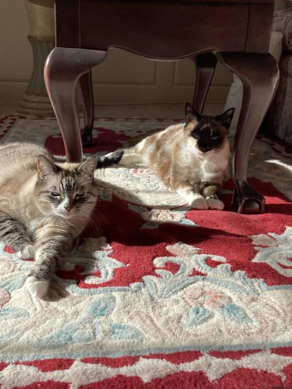 Mom likes to make sure our weight stays stable!