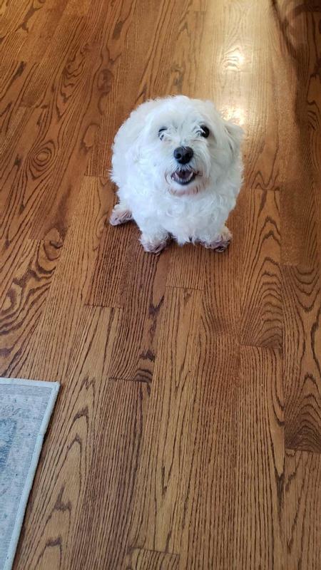 He’s a happy boy !