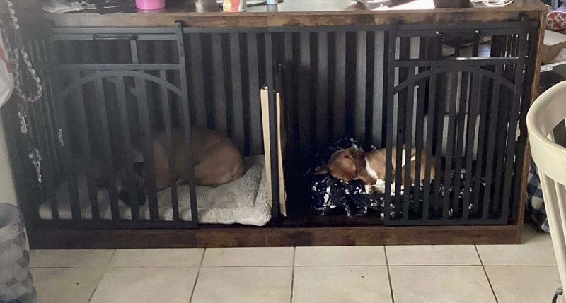 Plenty of room for my 2 babies