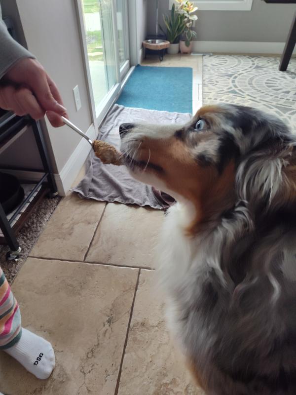 Rune was apprehensive