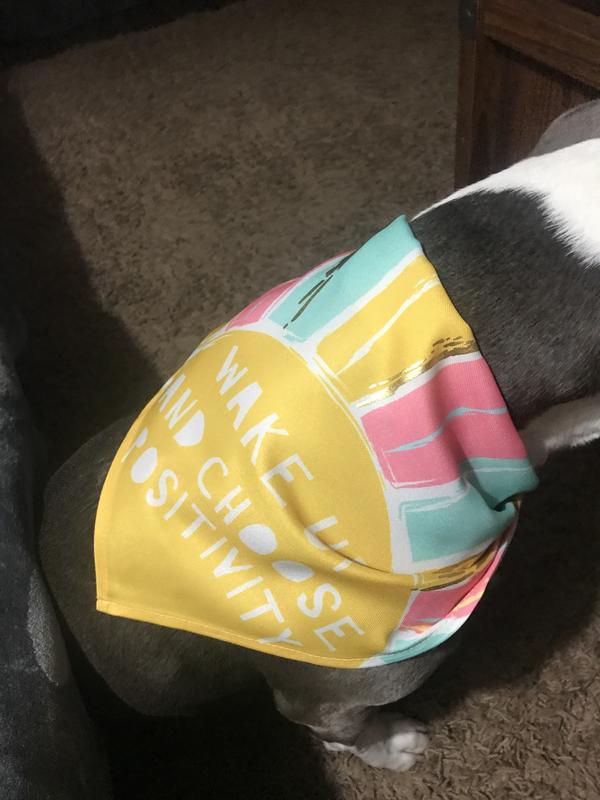Frisco Wake Up Positive Dog & Cat Bandana