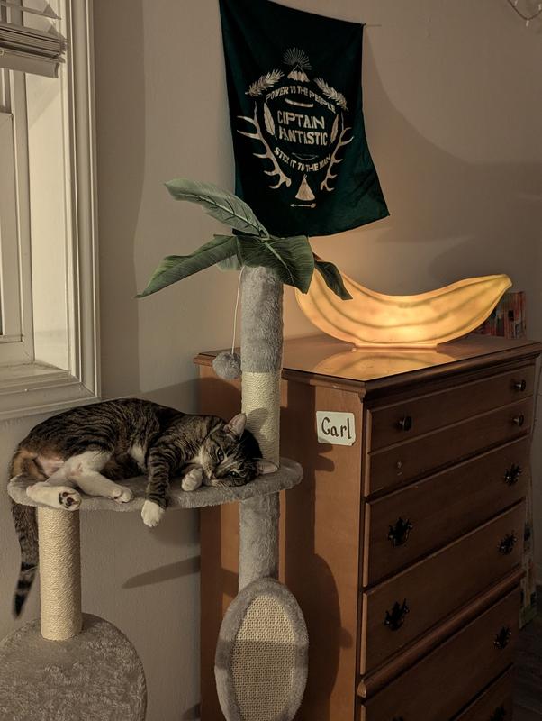 Stevens in her new tropical paradise