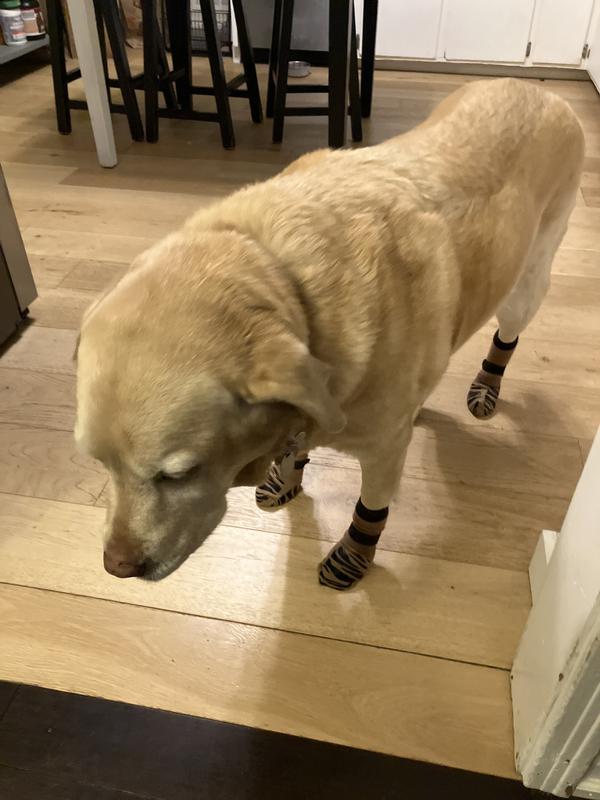 New confidence on hardwood floors.