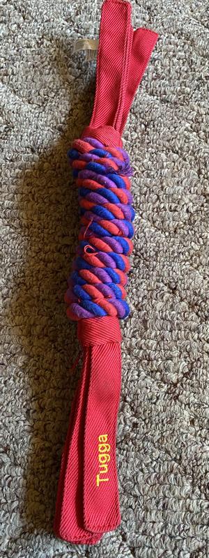 KONG Tugga Wubba Dog Toy Color Varies X Large Chewy