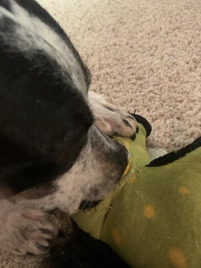 Dead in less than 24 hours.