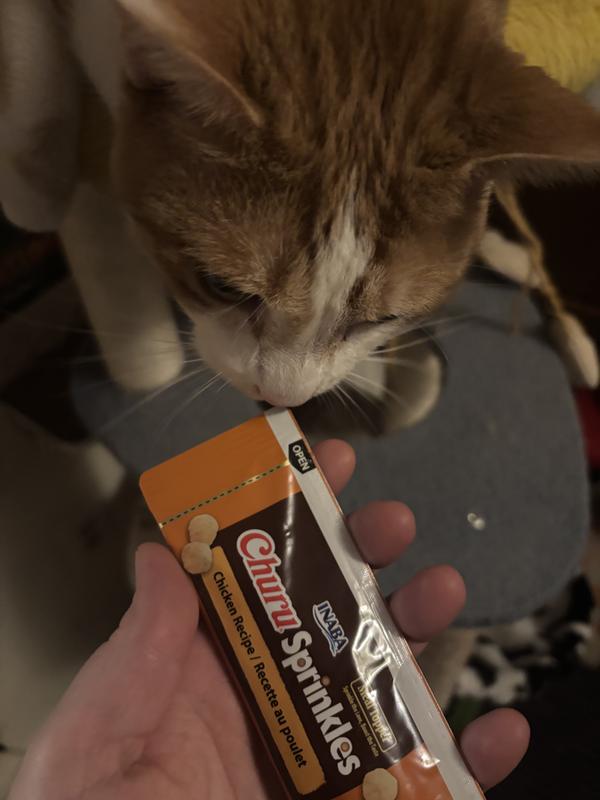 Single tube & excited kitty!