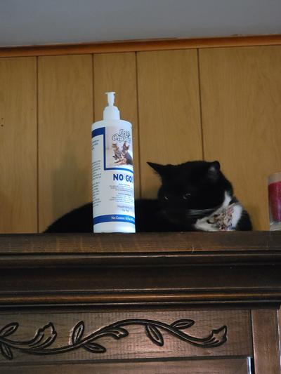 No go clearance spray for cats