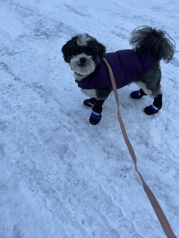 MUTTLUKS Original FleeceLined Winter Dog Boots, 4 count, Black, XXXSmall