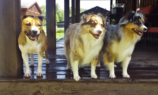 Happy little crumb snatchers