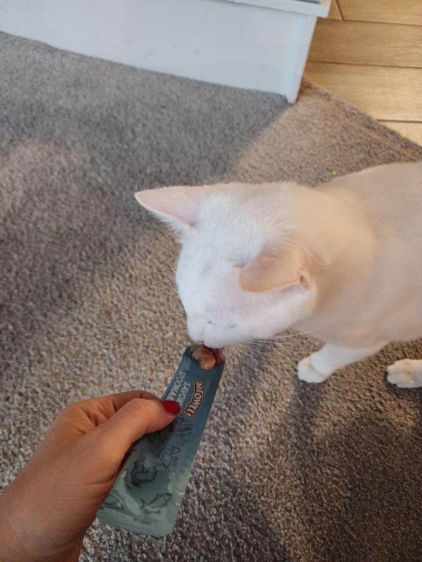 My youngest cat enjoying himself