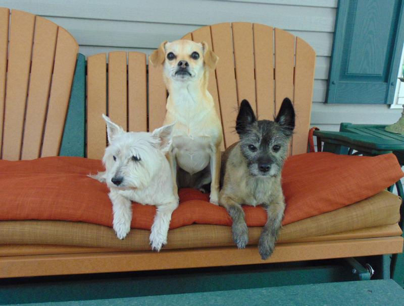 Tess, Beatrice and Lucas
