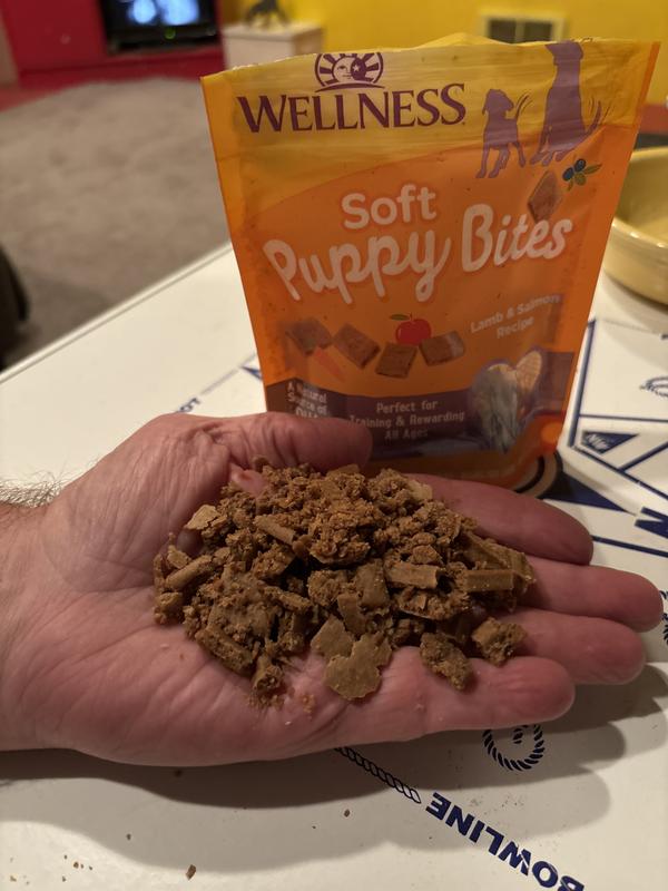 Wellness puppy fashion treats