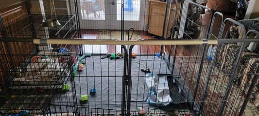 Stabilizing pvc pipe