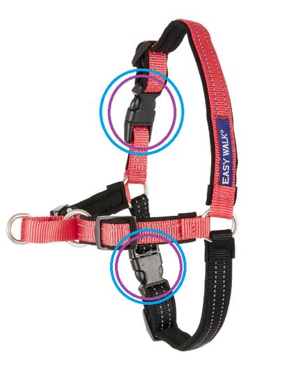 Padded easy walk store harness