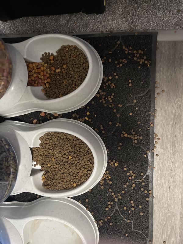 Tried to salvage it and add it to other food… didn’t work…