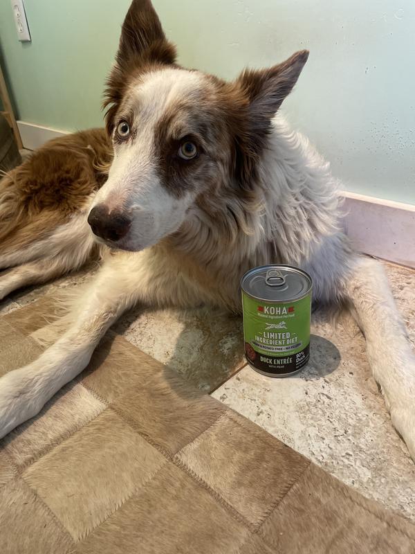 Sixo loves this product!