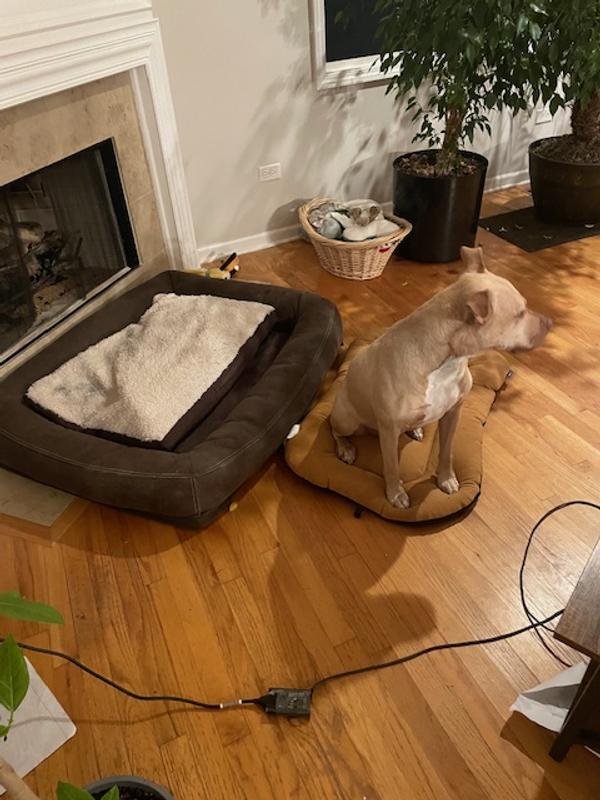He likes it to sit on