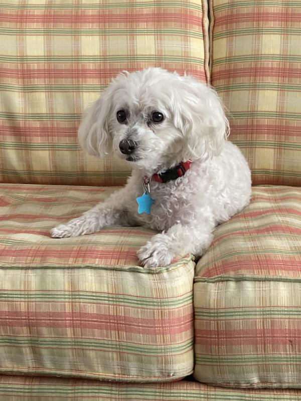 Lived with mom in senior home