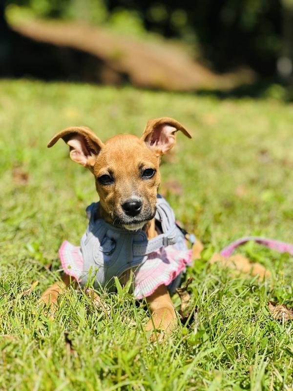 Fun in the sun!
