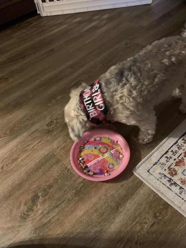 Eating my yummy Birthday treat on my special plate. Yummy!