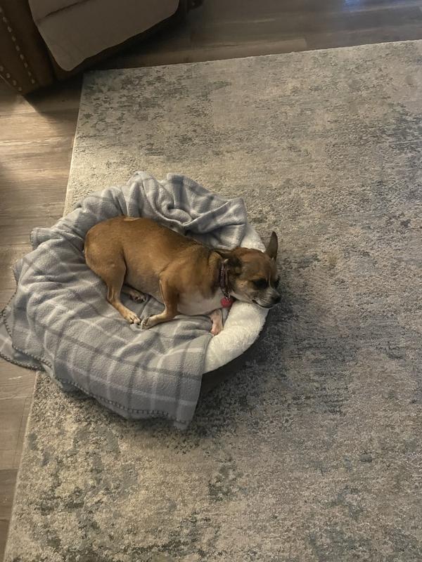 Added a cuddle blanket.