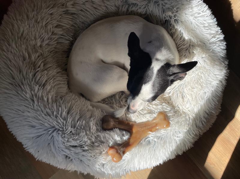 The size of her head.