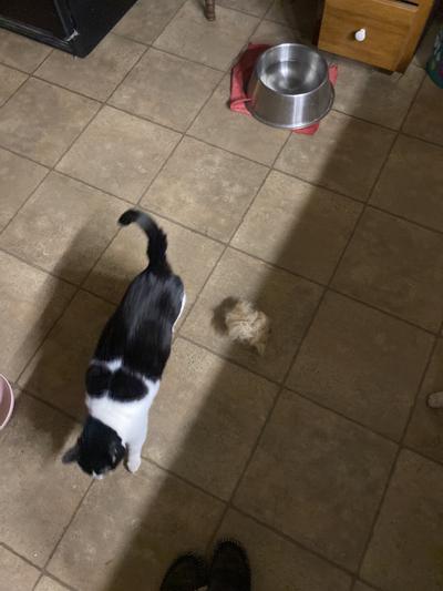 Very good stuff. truly is shed  magic. is