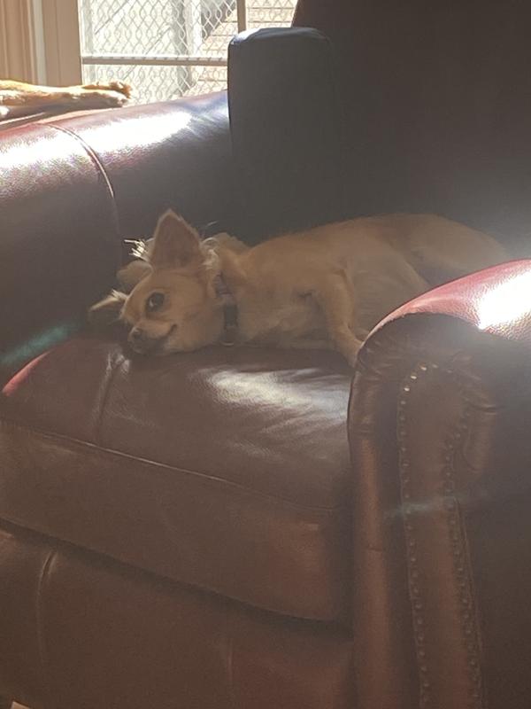 Nap time with a full tummy