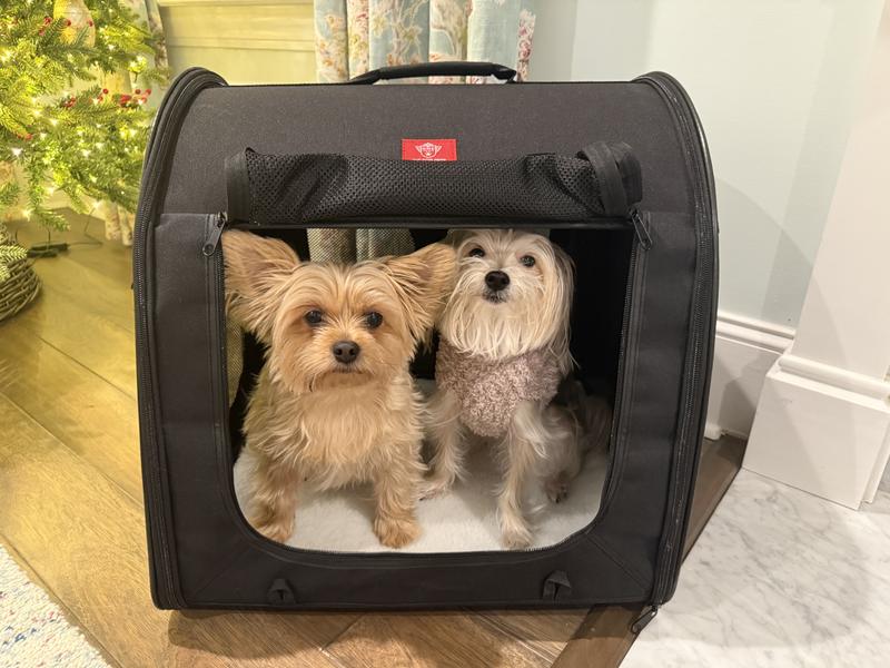 View of side opening - 1 7-pound and 1 8-pound morkie