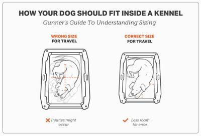 GUNNER G1 Double-Walled Dog Kennel, Duck Green, Large - Chewy.com