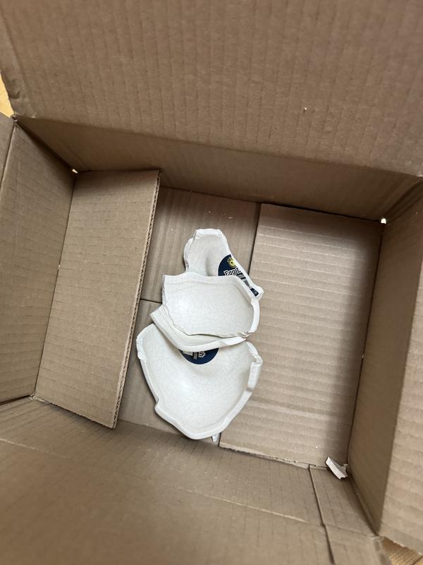 Second time time it showed up shattered