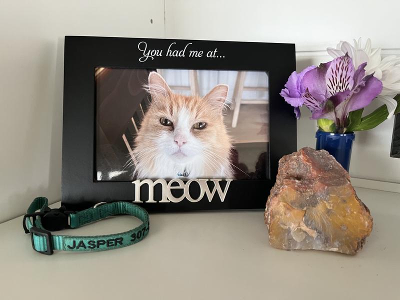 Forever in our hearts